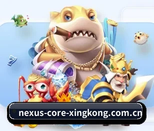 星空体育登录围绕看球场景设计的核心服务